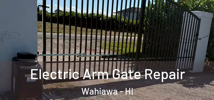 Electric Arm Gate Repair Wahiawa - HI