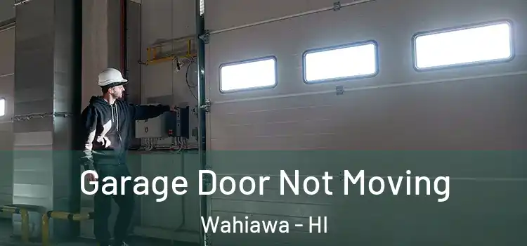  Garage Door Not Moving Wahiawa - HI