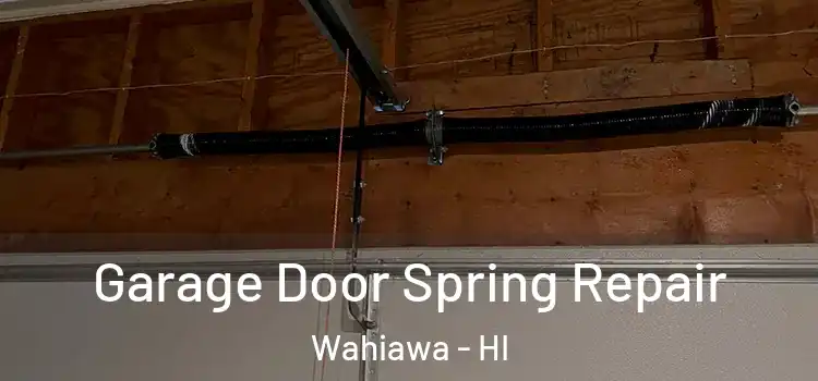  Garage Door Spring Repair Wahiawa - HI