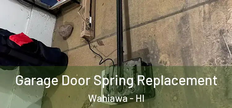  Garage Door Spring Replacement Wahiawa - HI