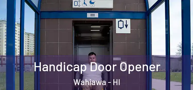 Handicap Door Opener Wahiawa - HI