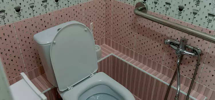 Meeting Diverse Needs With Accessible Restroom Solutions in Wahiawa, HI
