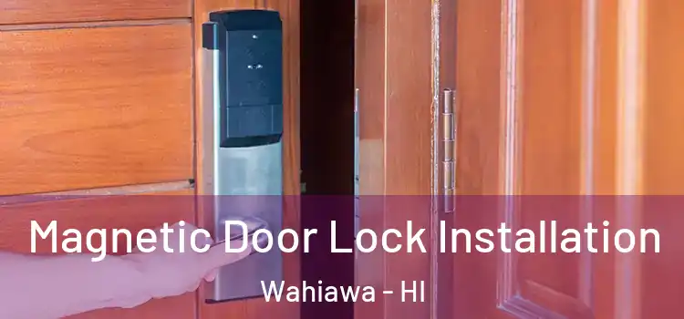  Magnetic Door Lock Installation Wahiawa - HI